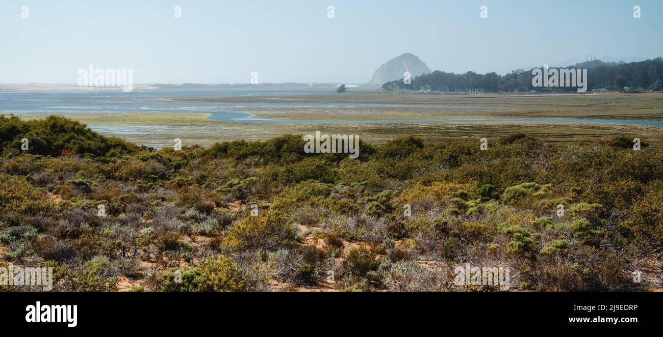 Elfin forest hi-res stock photography and images - Alamy