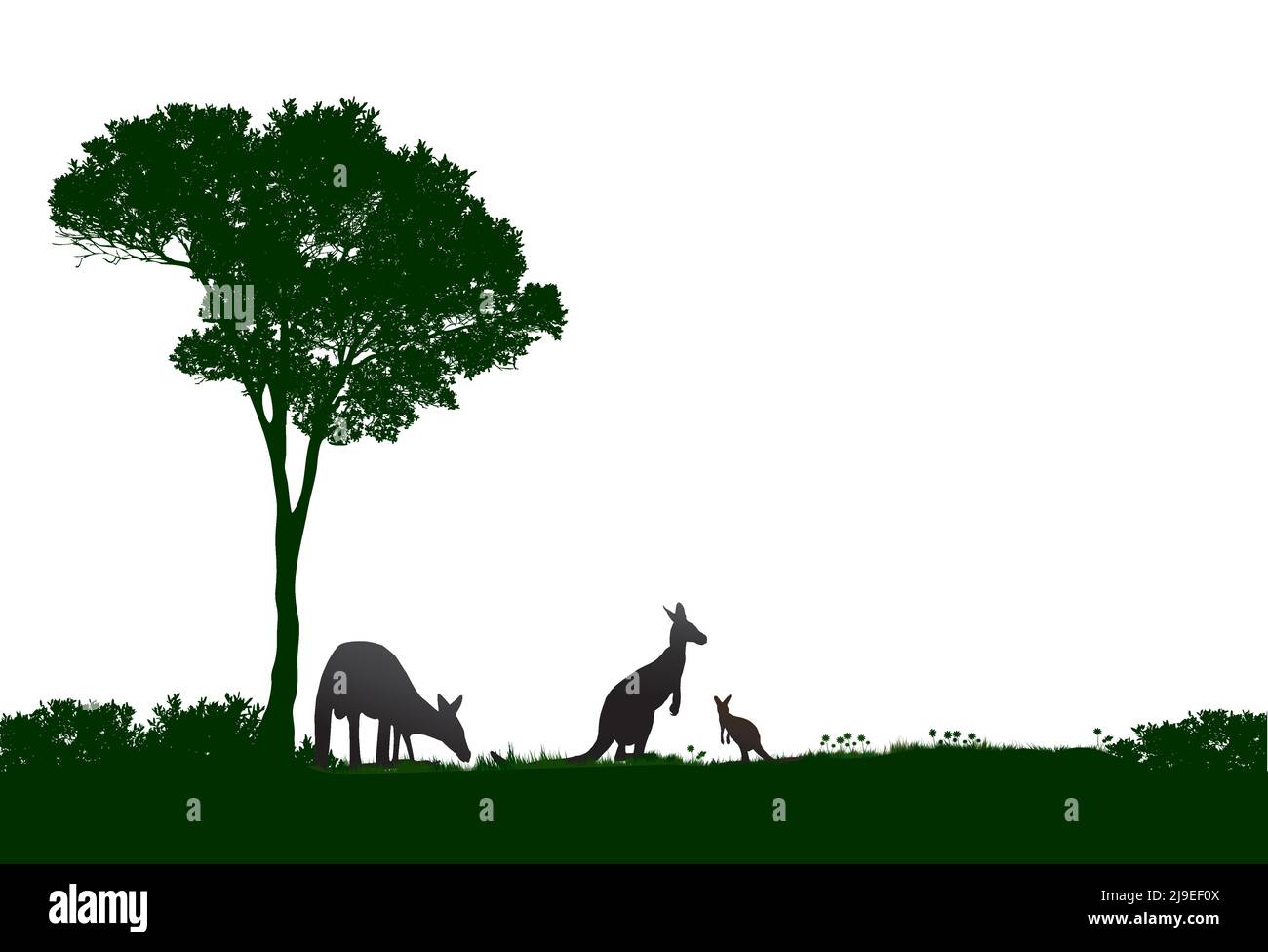 green silhouette with tree and kangaroos feeding with white background Stock Vector