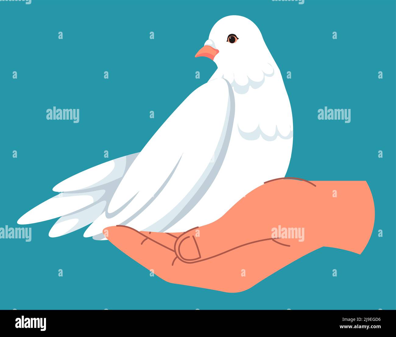 Dove in hand, pigeon symbol peace and tranquility Stock Vector Image 