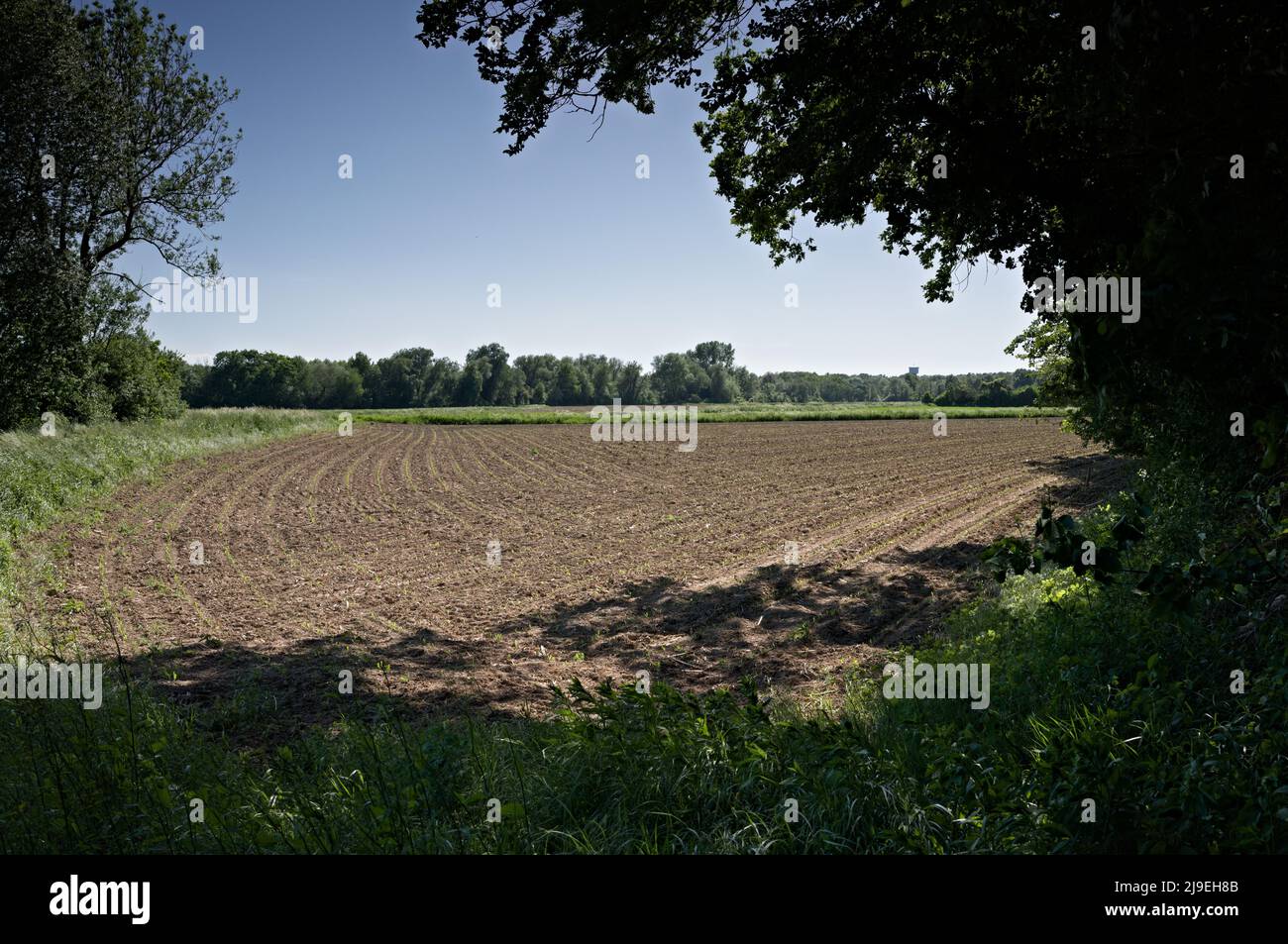 Lines and curves of a fresh prepared field Stock Photo