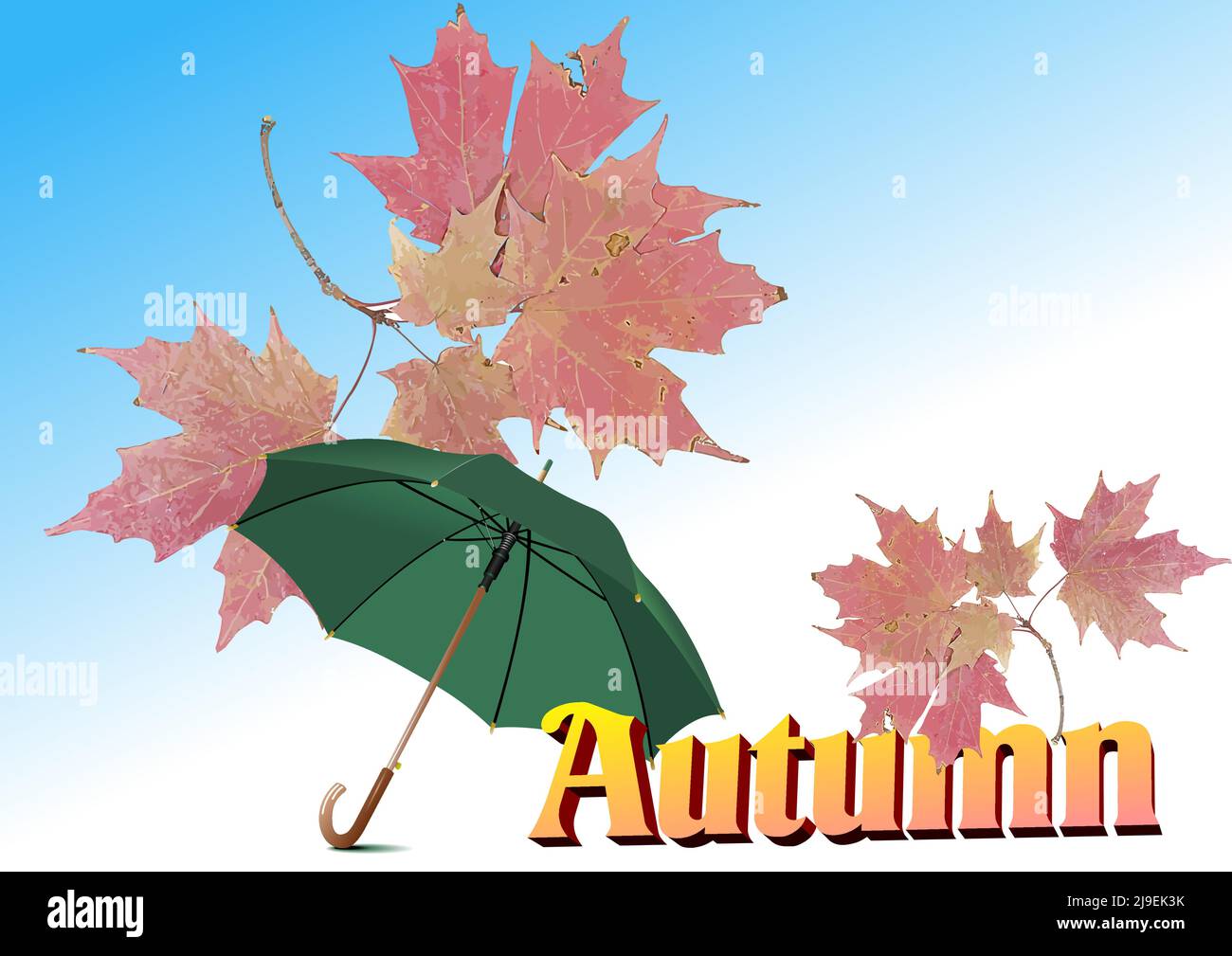 Abstract nature autumn Background with yellow leaves and green umbrella ...