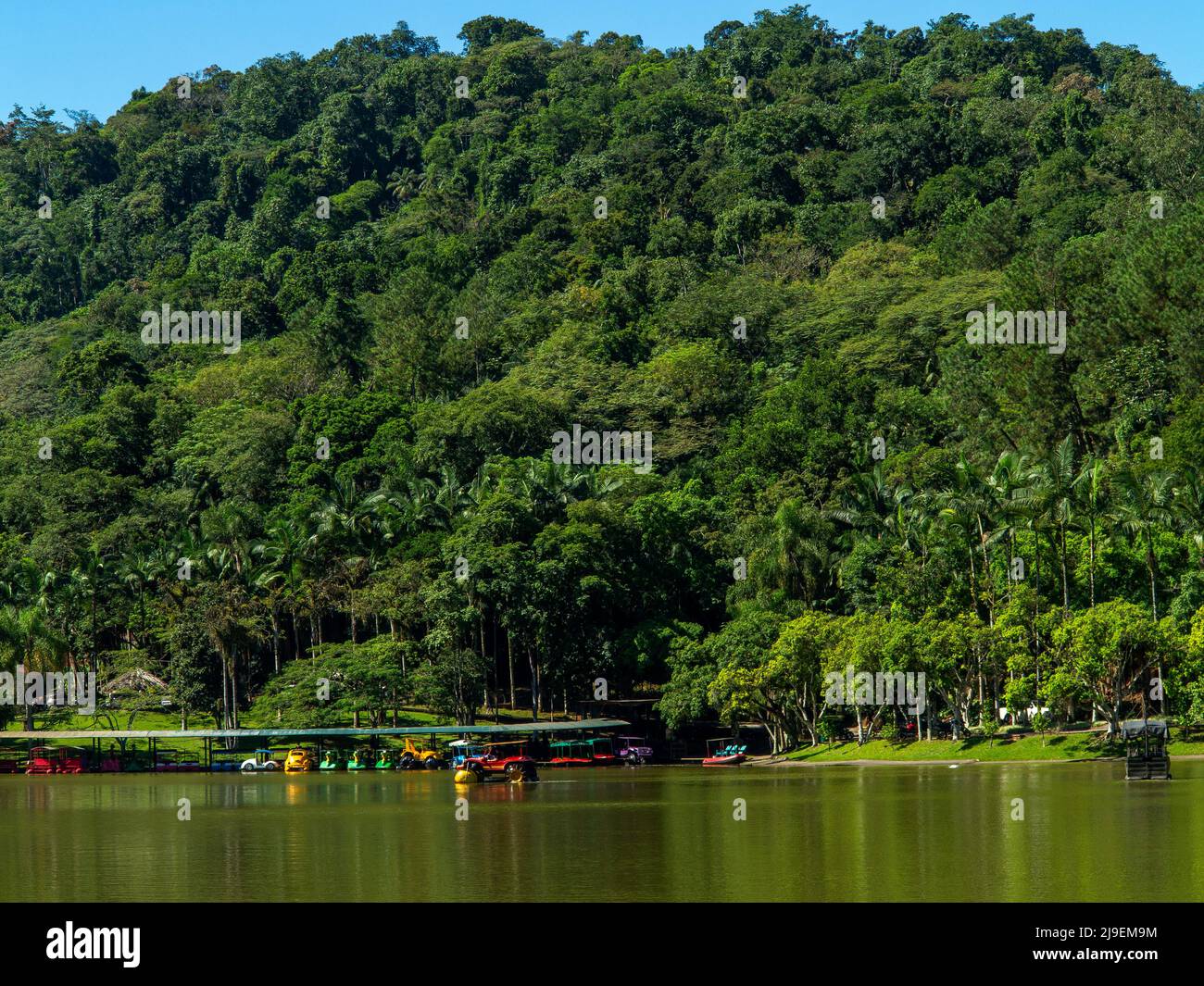 Malwee Park at Jaraguá do Sul town, Santa Catarina, Brazil Stock Photo