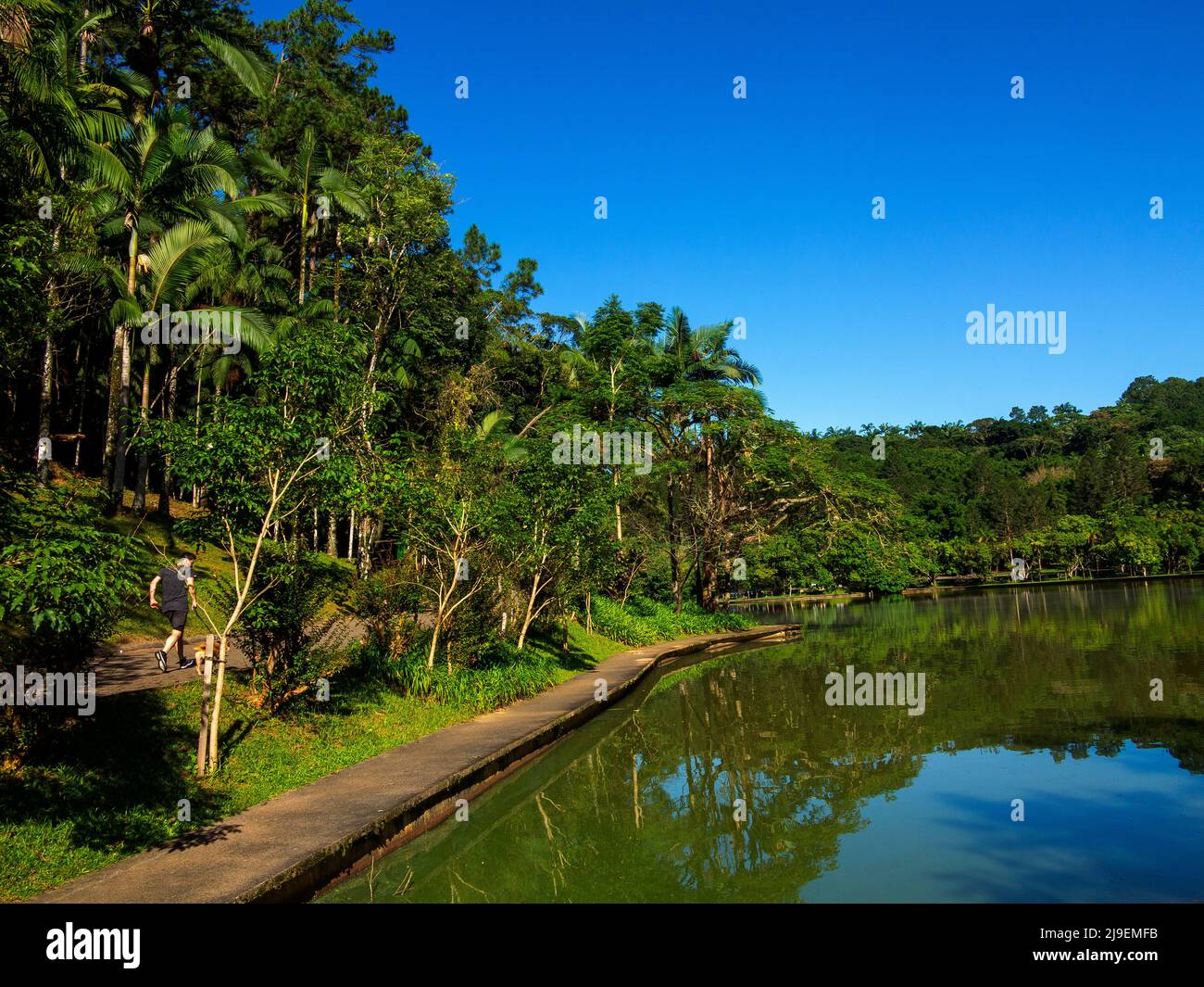 Malwee Park at Jaraguá do Sul town, Santa Catarina, Brazil Stock Photo