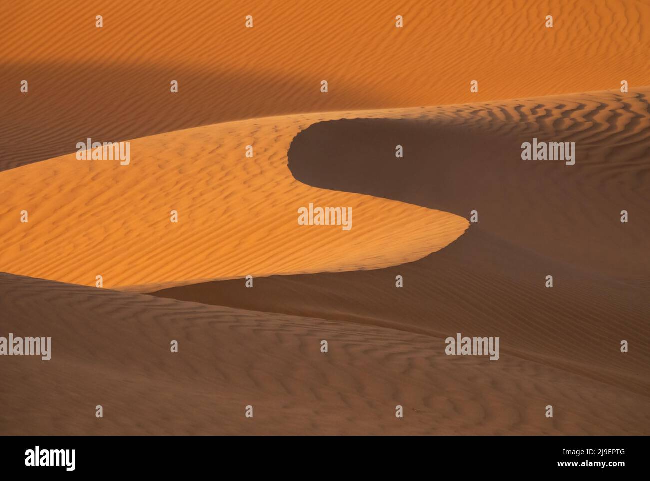 Background with sandy dunes in desert Stock Photo