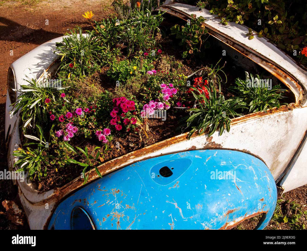 Old Volkswagen beetle used as a flower vase at Urubici hills, Santa