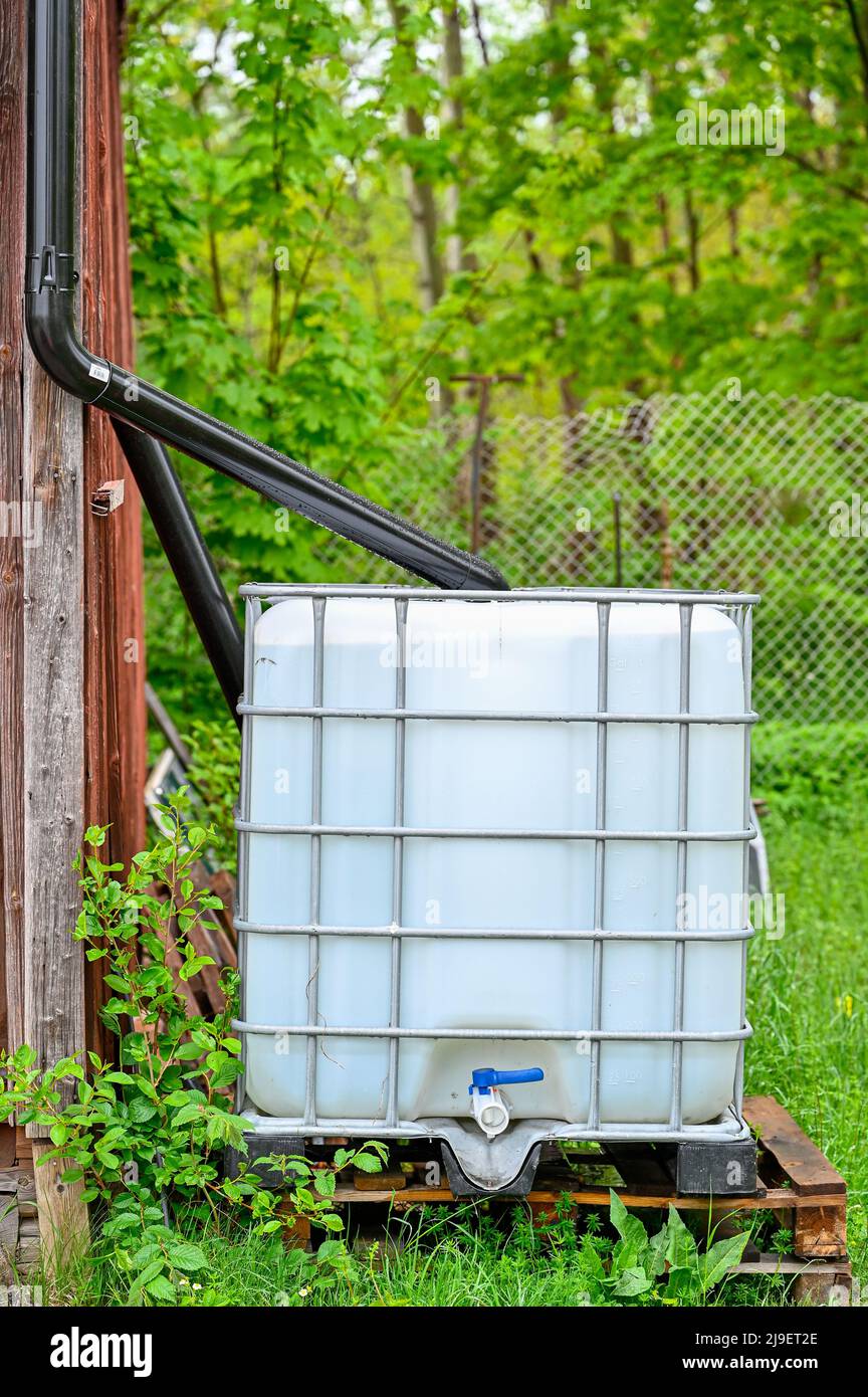 cubic tank full of rainwater near red barn Stock Photo