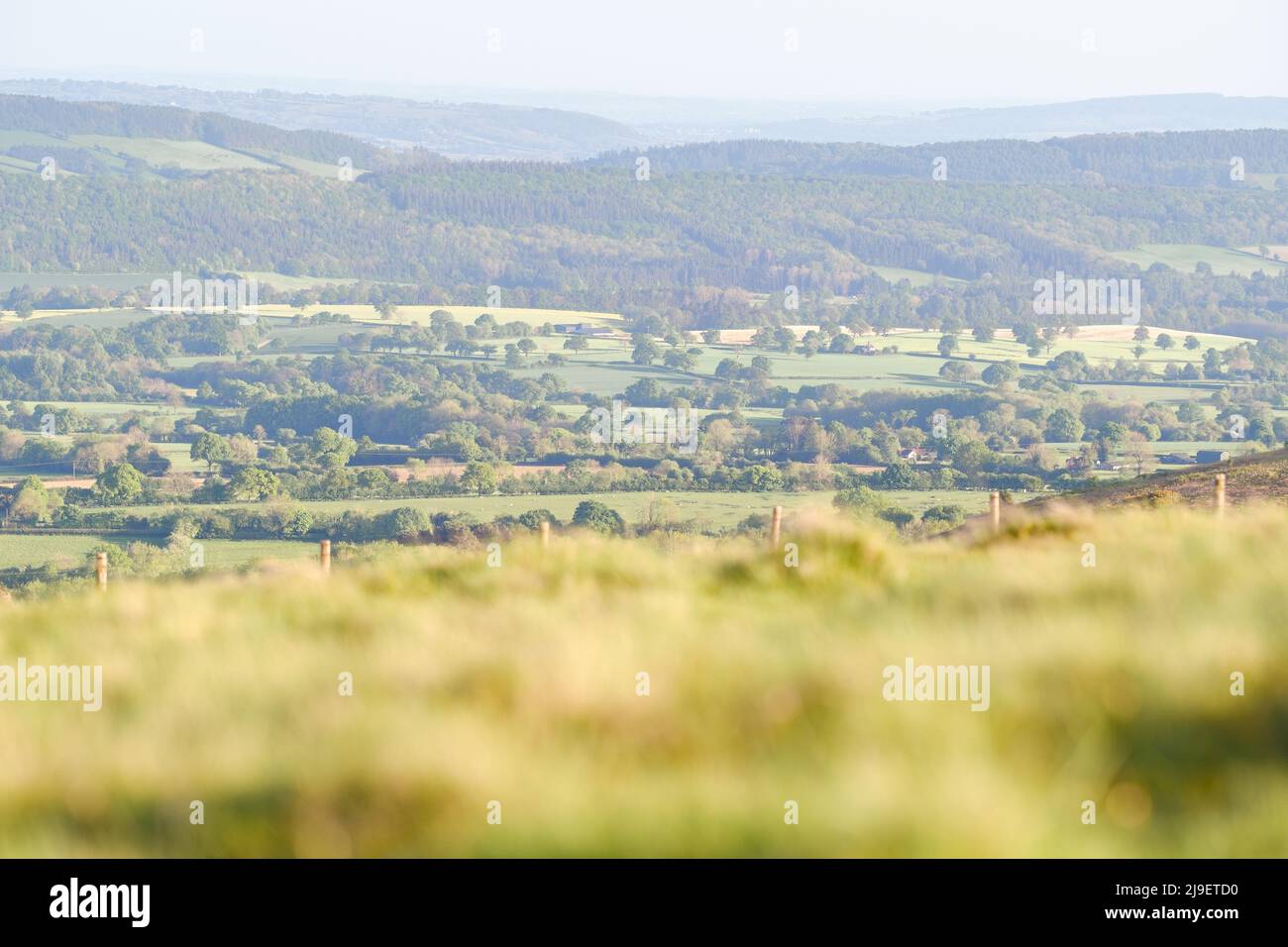 View over fresh green upland ridge. Shropshire Hills in United Kingdom Stock Photo