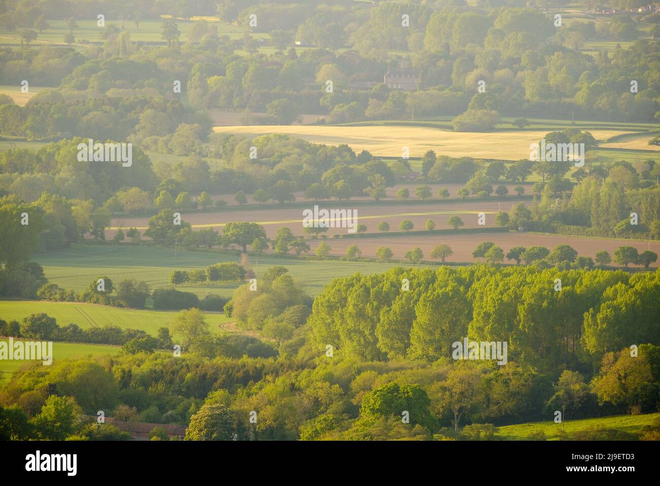 Farming fields valley with rich patterns of fresh green colours at spring, flooded in warm susnet light. Shropshire in United Kingdom Stock Photo