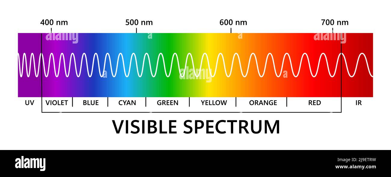 Visible light spectrum, infared and ultraviolet. Light wavelength. Electromagnetic visible spectrum for human eye. Gradient diagram. Educational Stock Image & Alamy