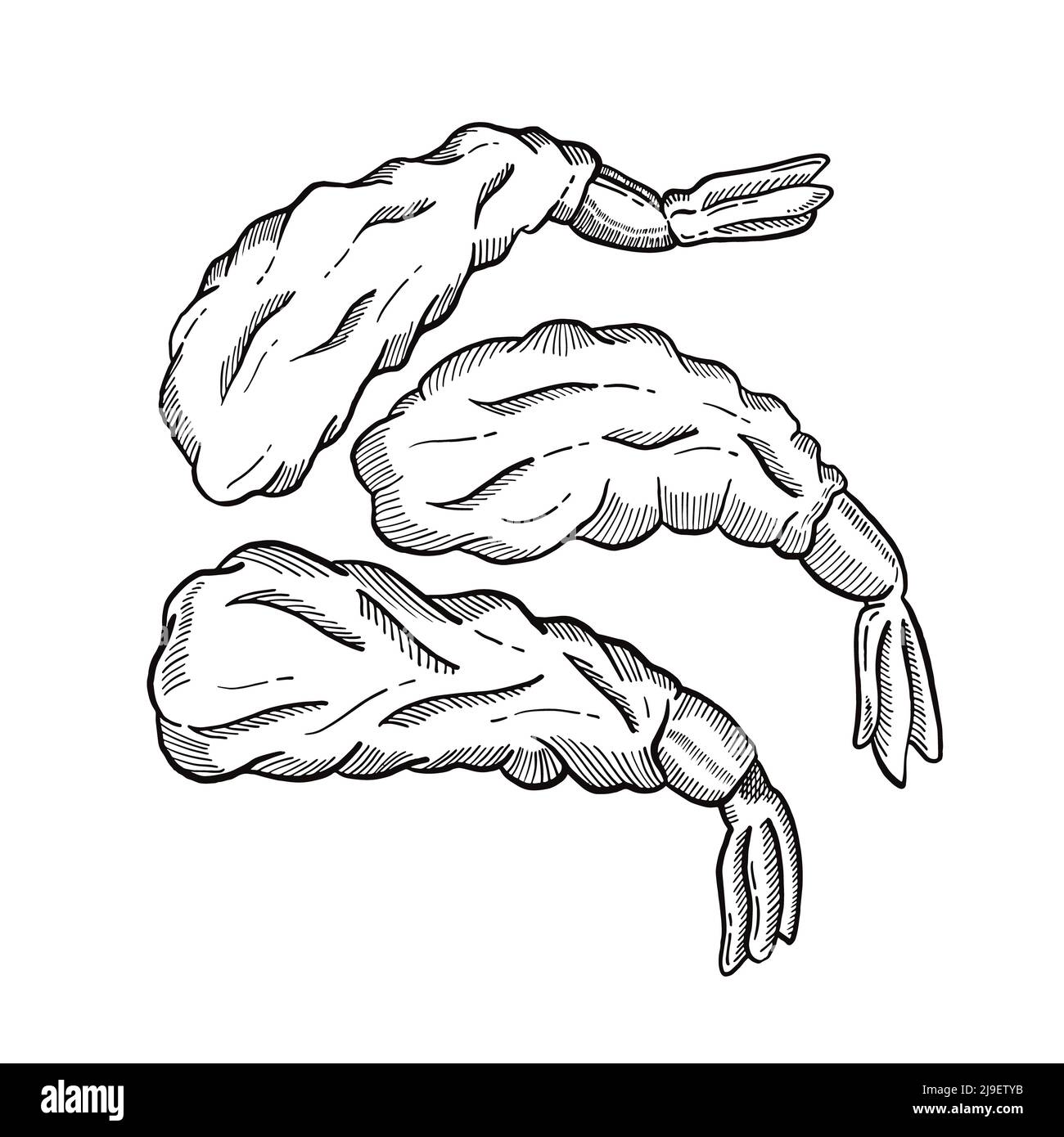 tempura shrimp japan or japanese traditional food doodle hand drawn