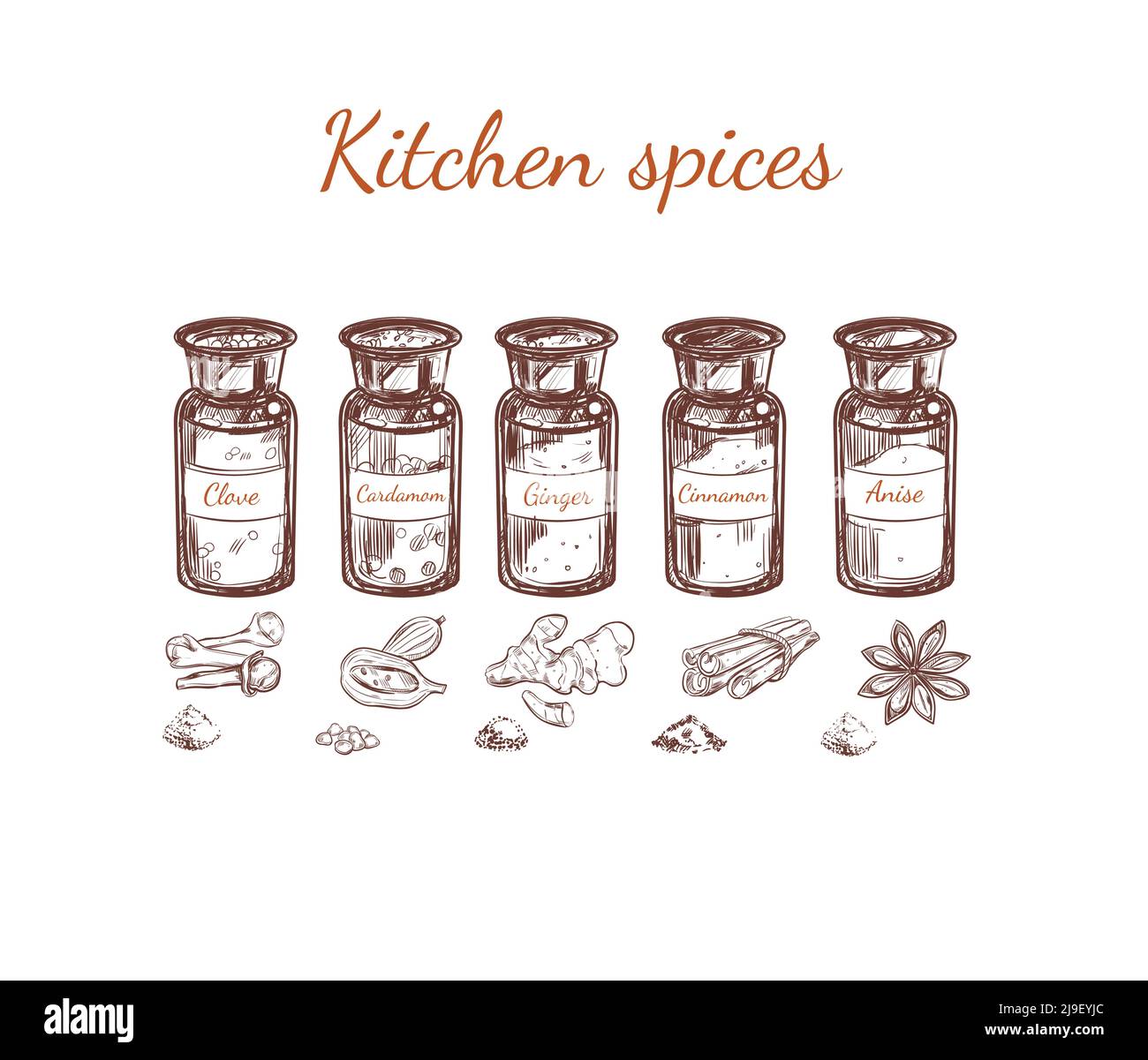 Hand drawn kitchen spices set with glass bottles of clove cardamom ginger cinnamon anise