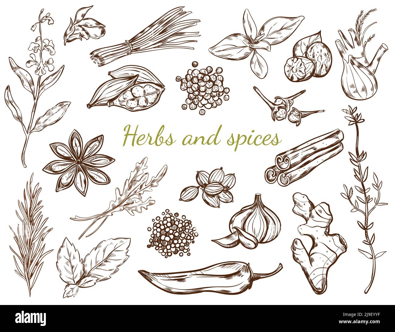 Herbs And Spices Drawing at Milla Slessor blog