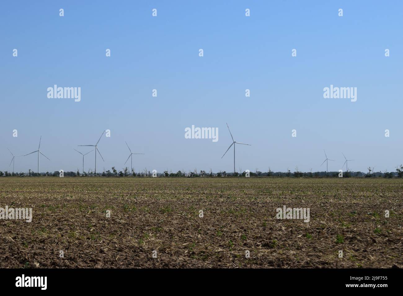 A field of windmills spin in front of a colorful evening sky. A wind turbine is used to produce electricity. Wind energy is the use of wind for electr Stock Photo