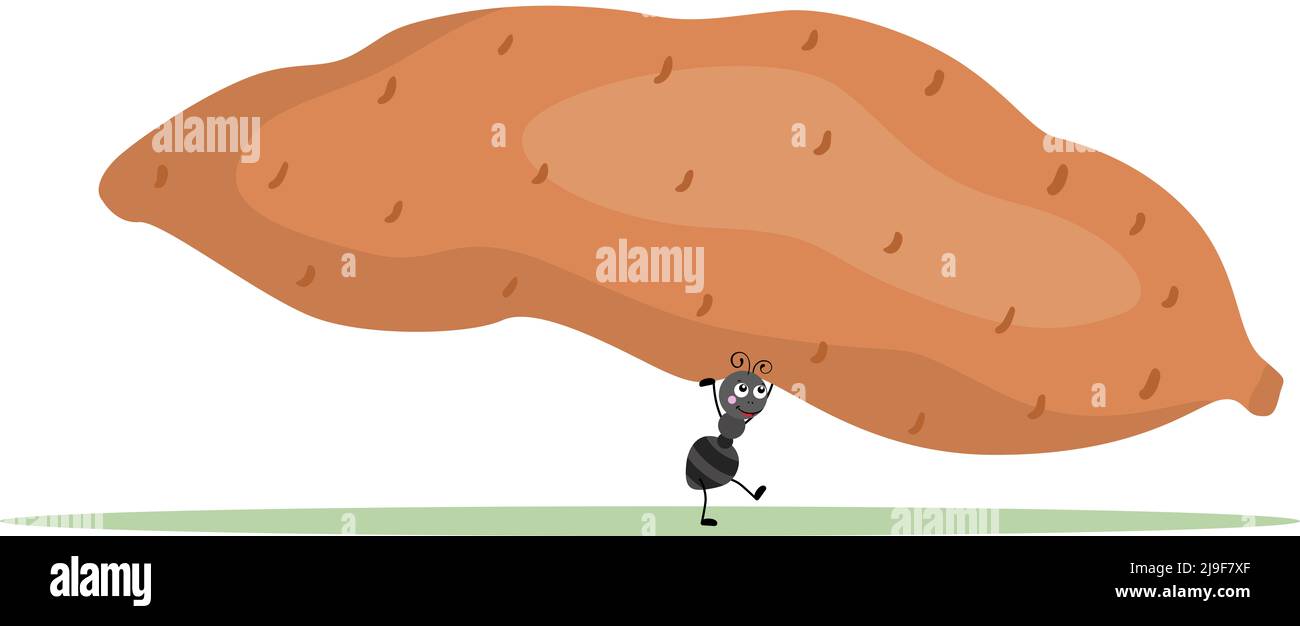 Cute ant carrying a fresh sweet potato Stock Photo Alamy