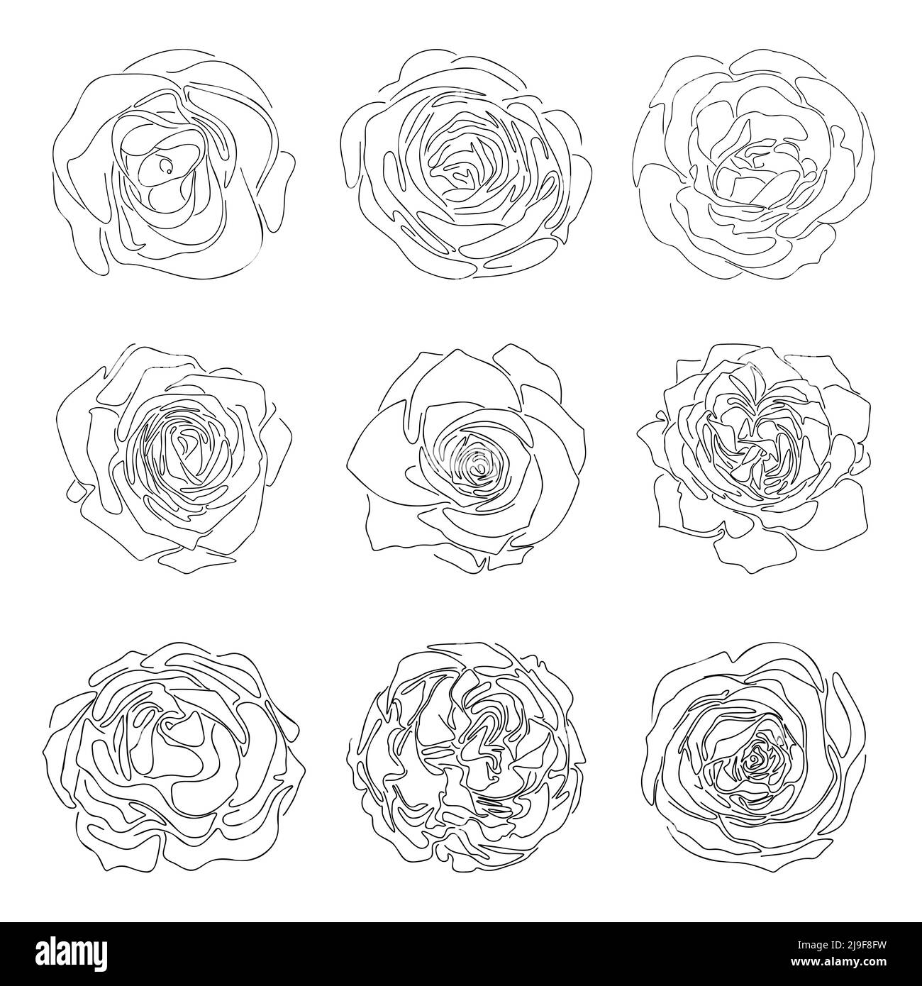 Hand drawn line sketch of roses, simple abstract flowers doddle ...