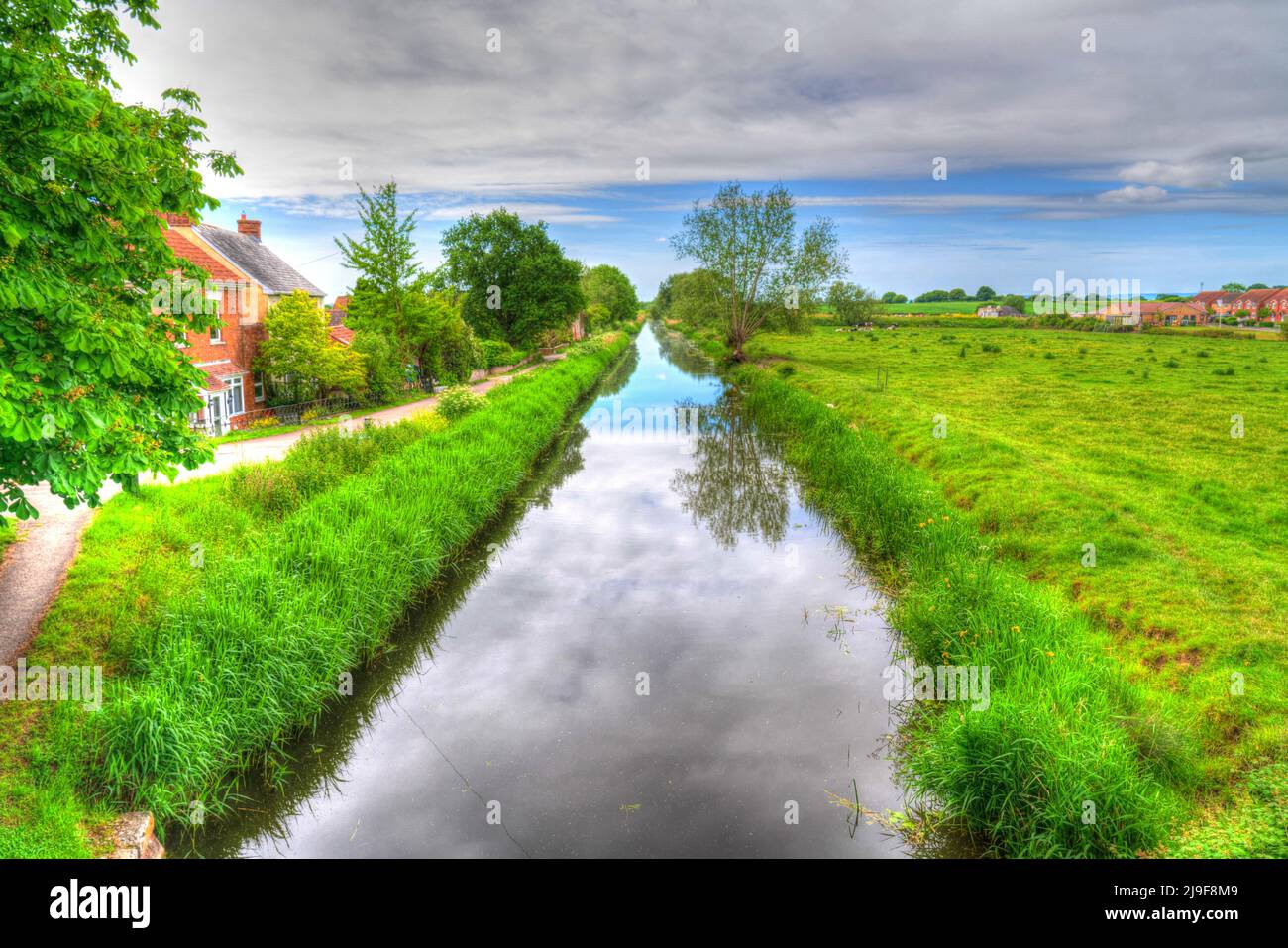 Canal in west country Bridgwater and Taunton English waterway with trees UK Stock Photo