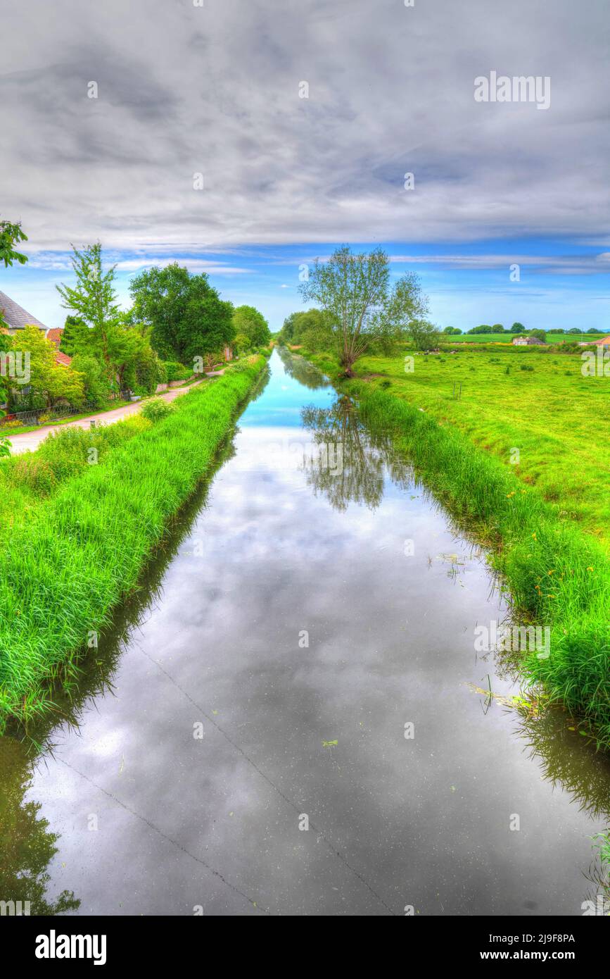 English canal in west country Bridgwater and Taunton waterway with trees UK Stock Photo