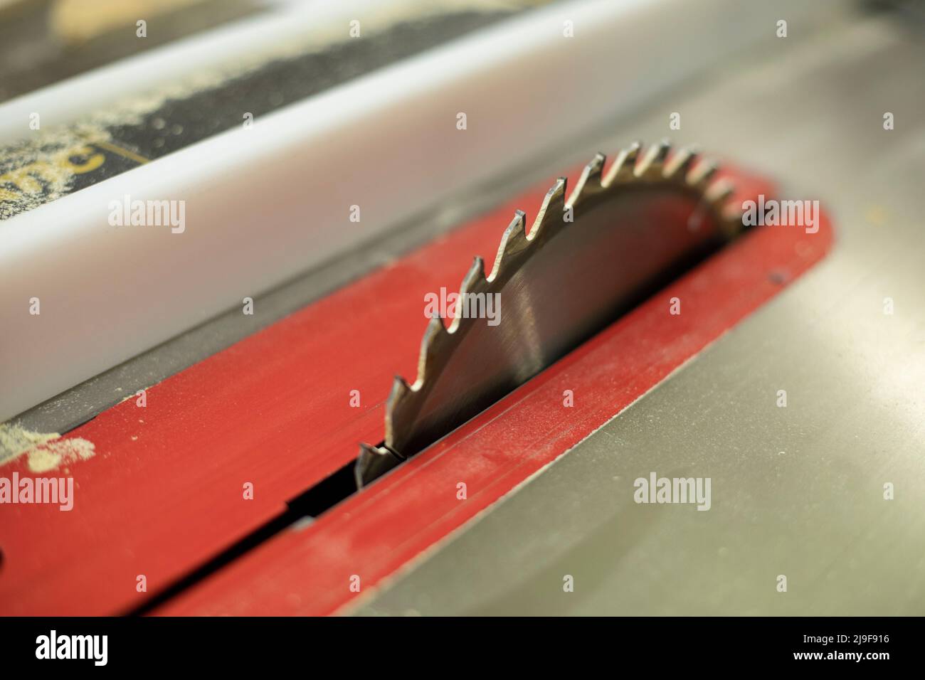 Circular saw for wood. Sharp blade. Machine for cutting boards Stock