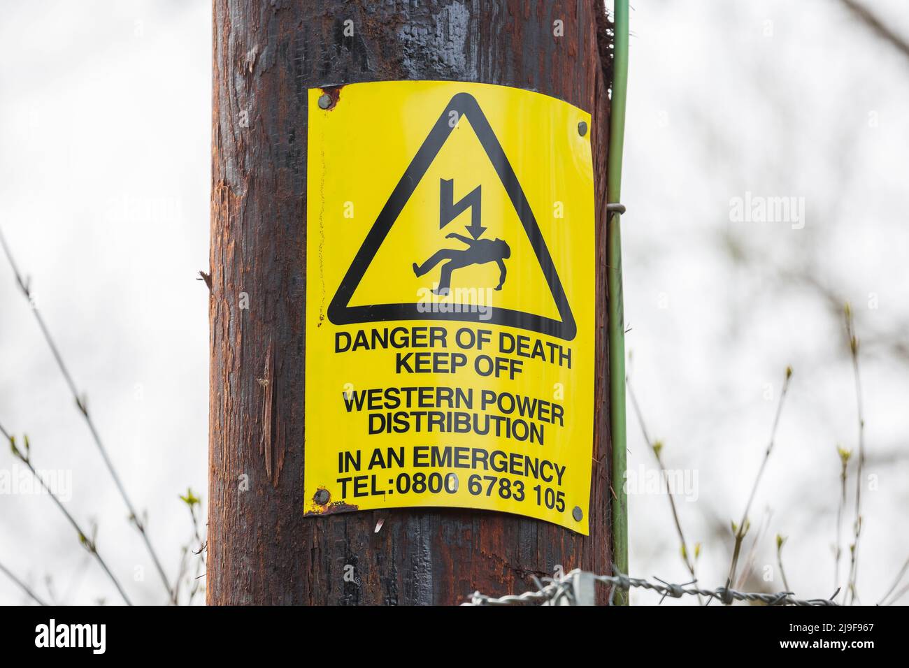 A yellow triangle Danger of Death electricity sign isolated outdoors on a post in UK countryside. Stock Photo