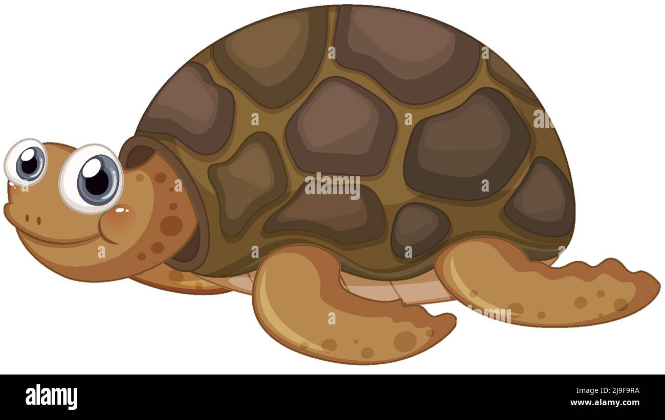 Cute turtle cartoon character on white background illustration Stock