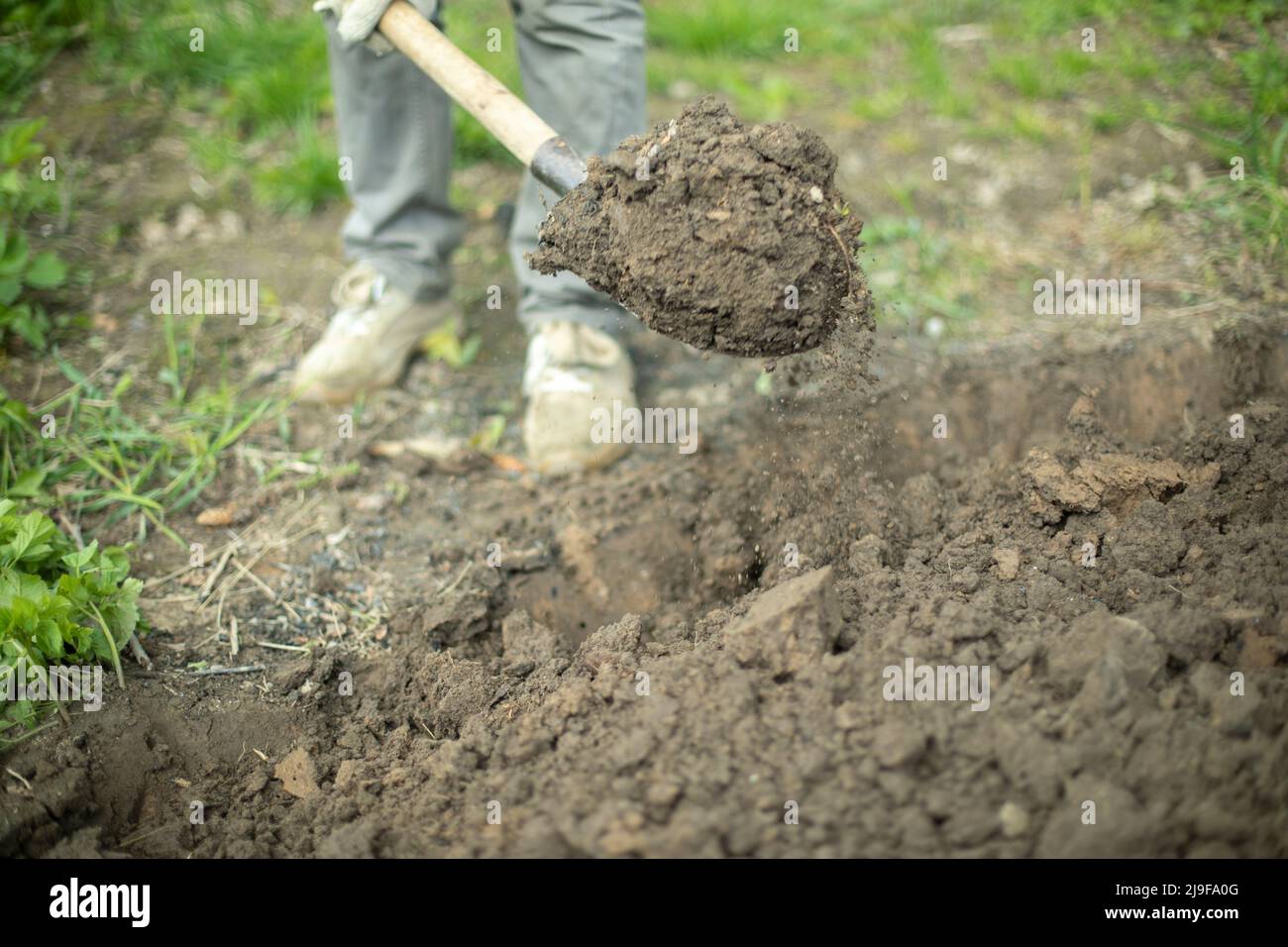 Guy is digging ground. Man with shovel. Details of rural life. Digging up soil. Work on land