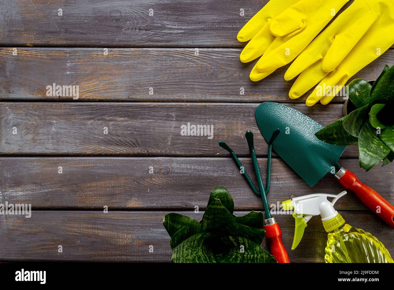 Gardening layout for summer season. Green plant with tools set for