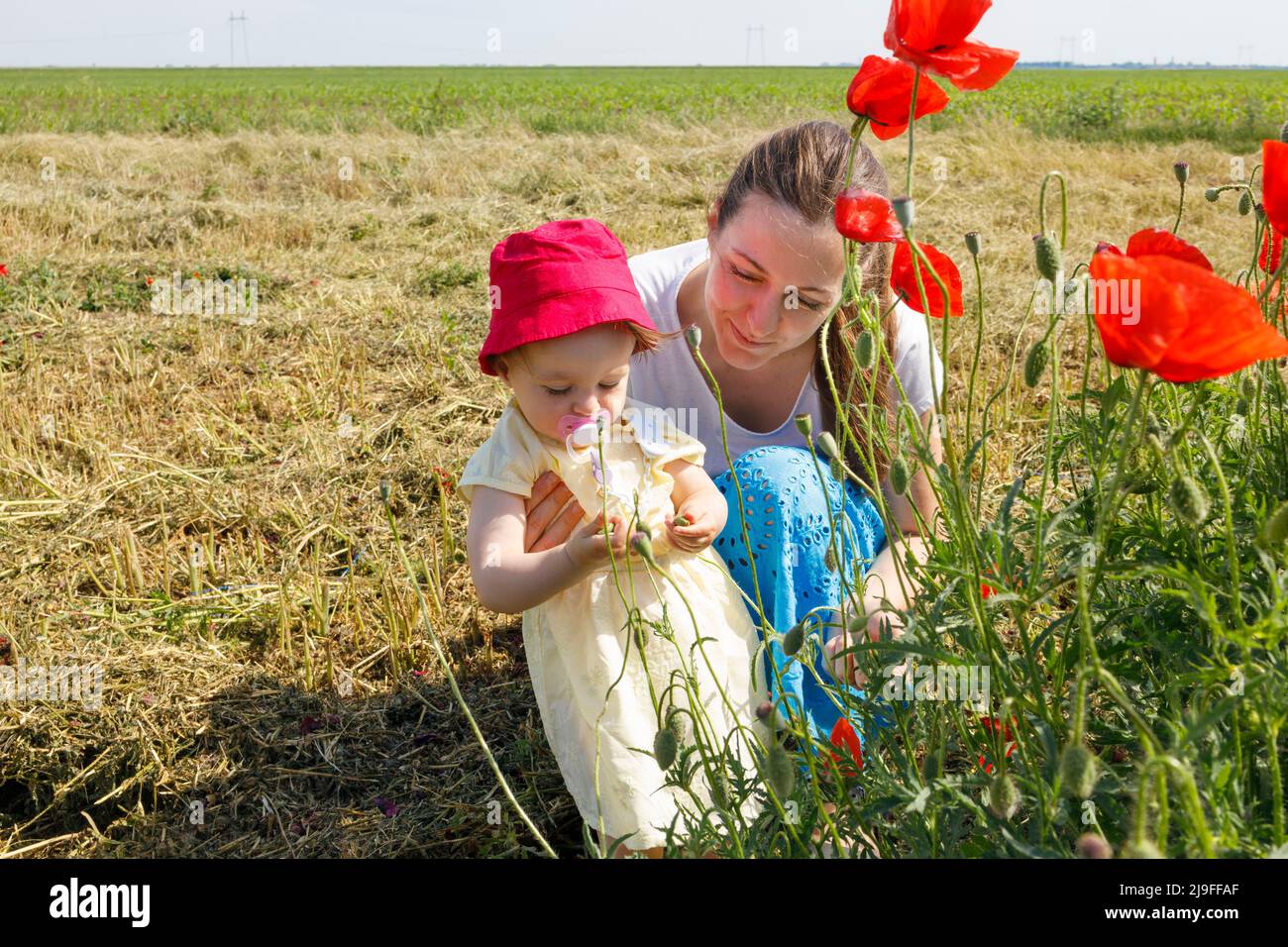 A daughter and her mother picking red poppy flowers Stock Photo