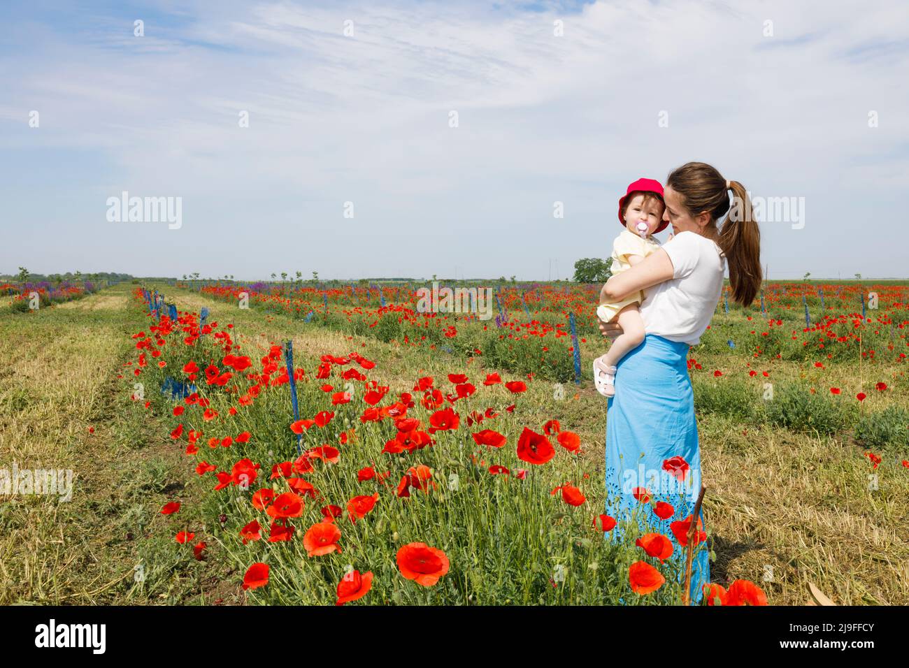 A woman and her daughter standing together in a red poppy field Stock Photo