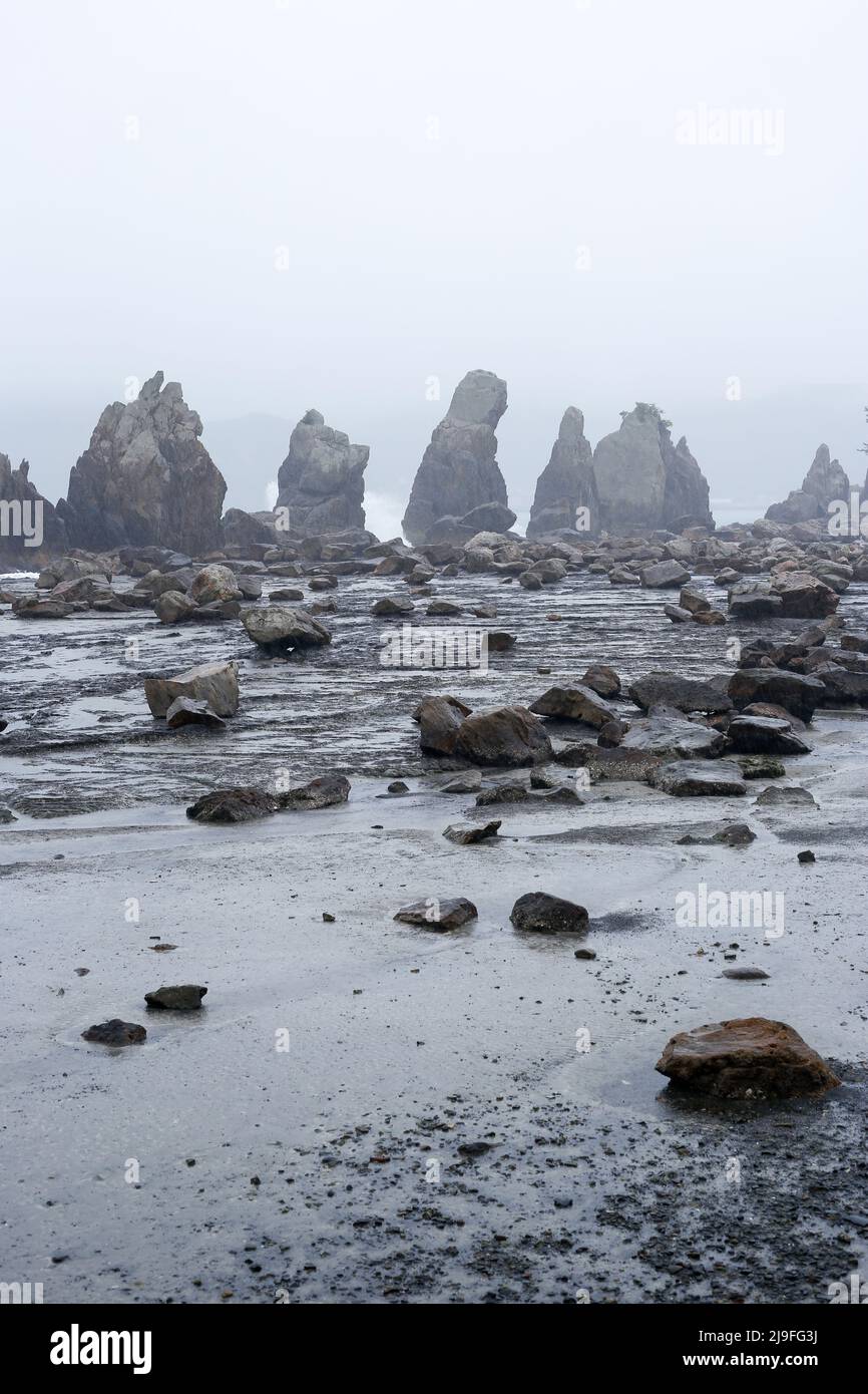 Yoshino-Kumano National Park, japan, 2022/01/05 , the Yoshino-Kumano National Park and include the Hashiguiiwa Rocks, which are a National Natural Mon Stock Photo