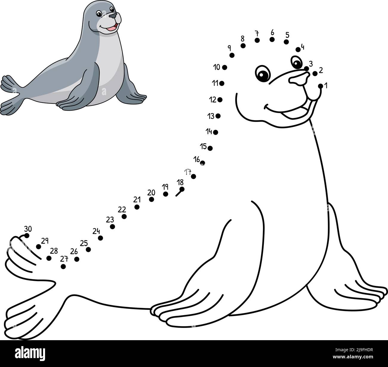 Seal animal drawing hi-res stock photography and images - Page 2 - Alamy