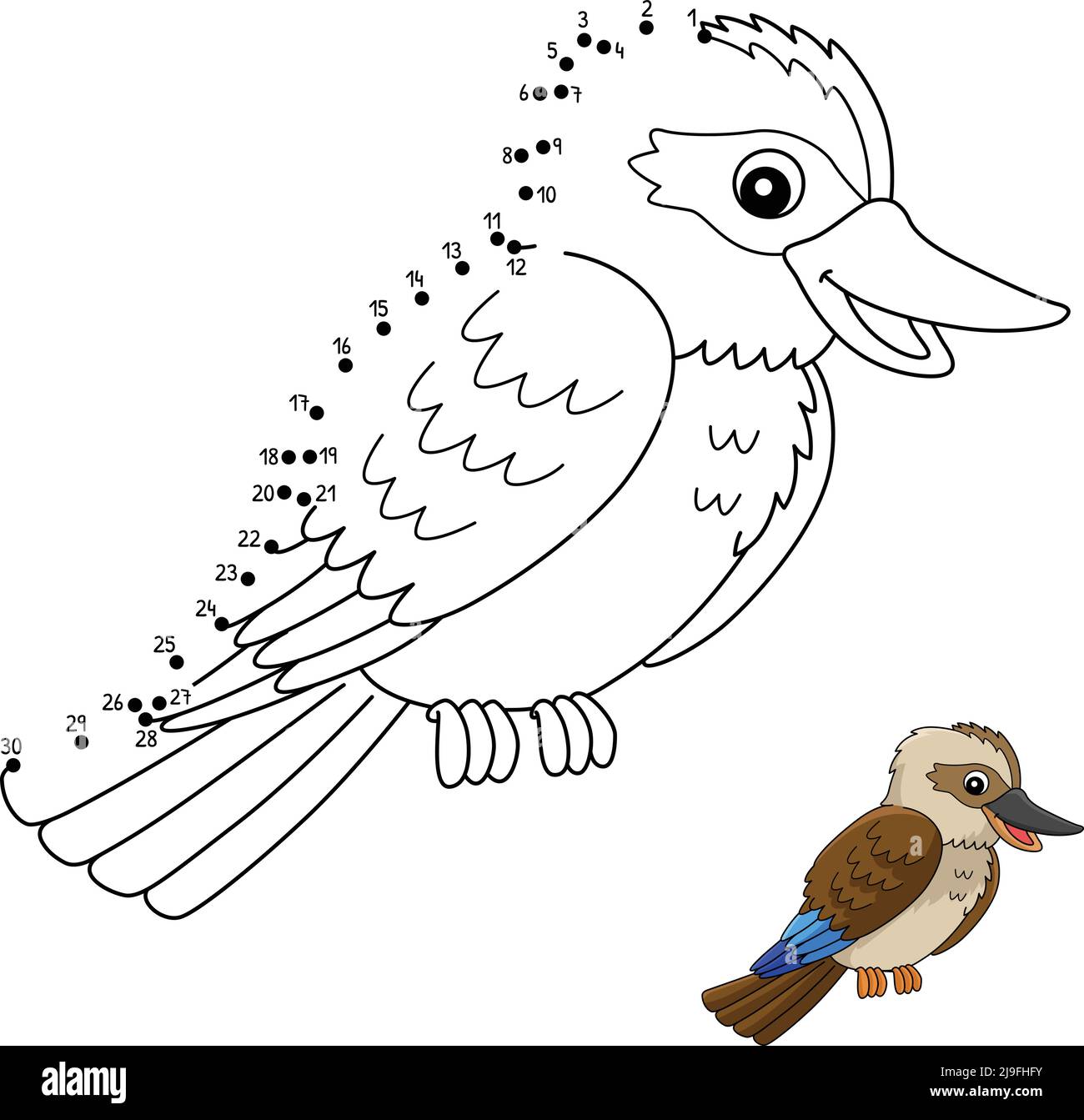 Dot to Dot Kookaburra Animal Coloring Page Stock Vector Image & Art - Alamy