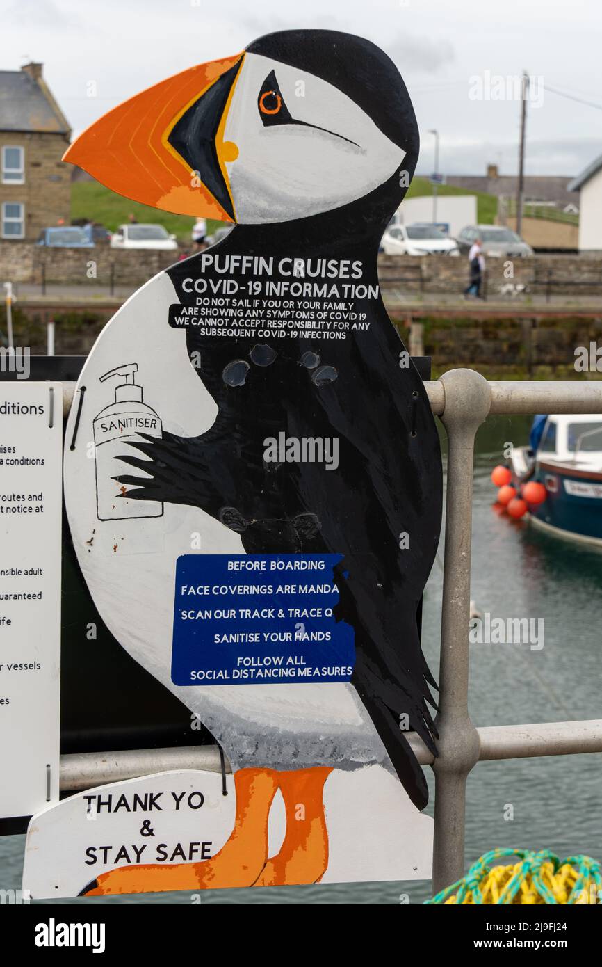 A puffin on a sign holds hand sanitiser, highlighting public health measures in the covid-19 pandemic. Amble, Northumberland, UK Stock Photo