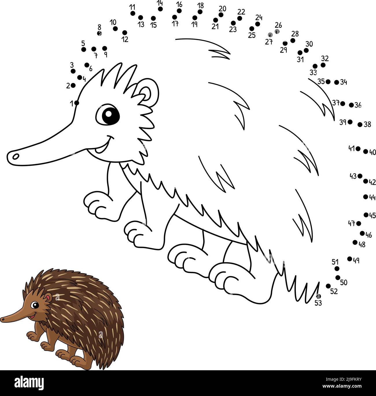 Dot to Dot Echidna Animal Coloring Page for Kids Stock Vector