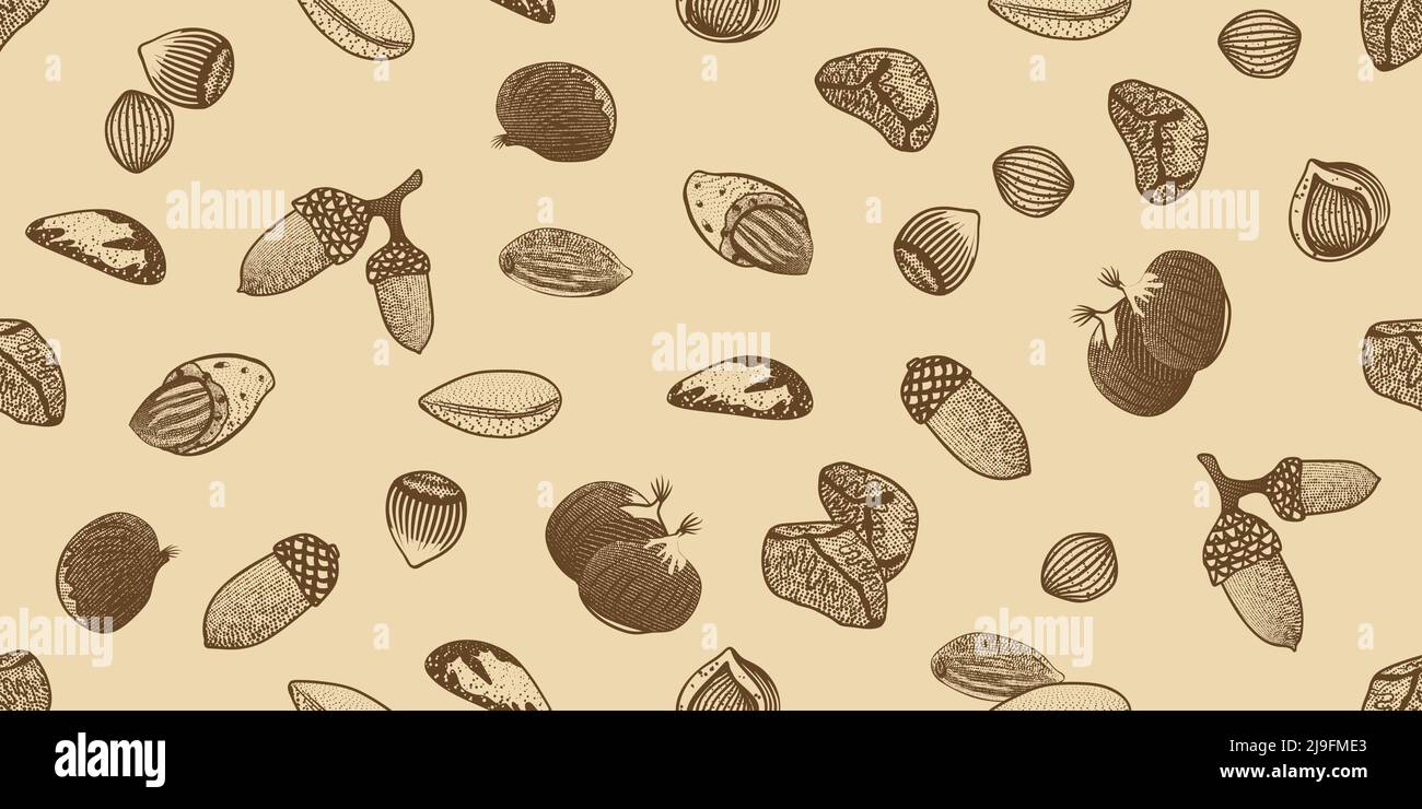 Organic seeds seamless pattern with different sorts of nuts in sketch ...