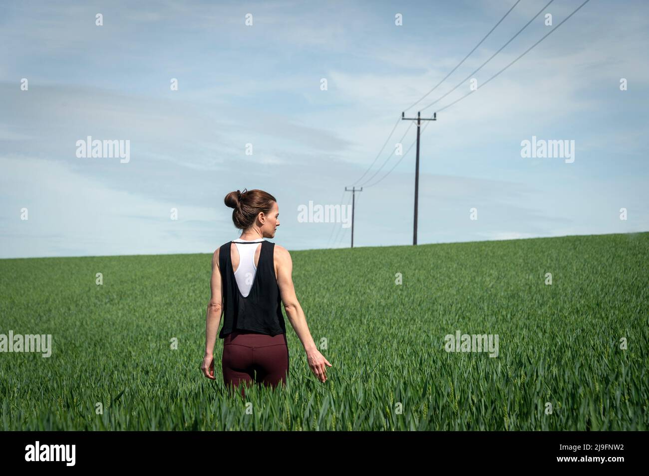 Rear view of an attractive woman walking through a field of wheat. Stock Photo