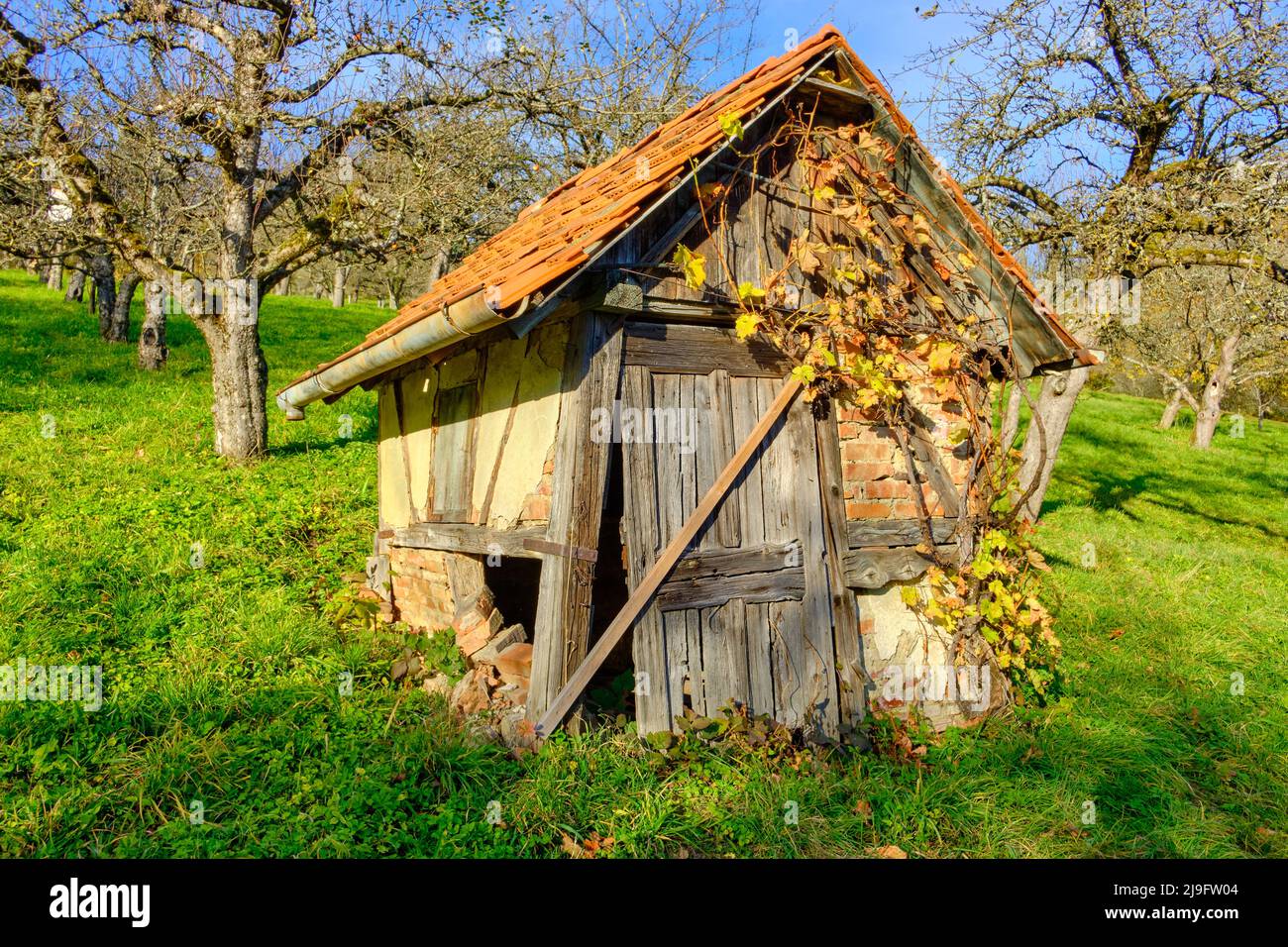 Rustic orchard hi-res stock photography and images - Alamy