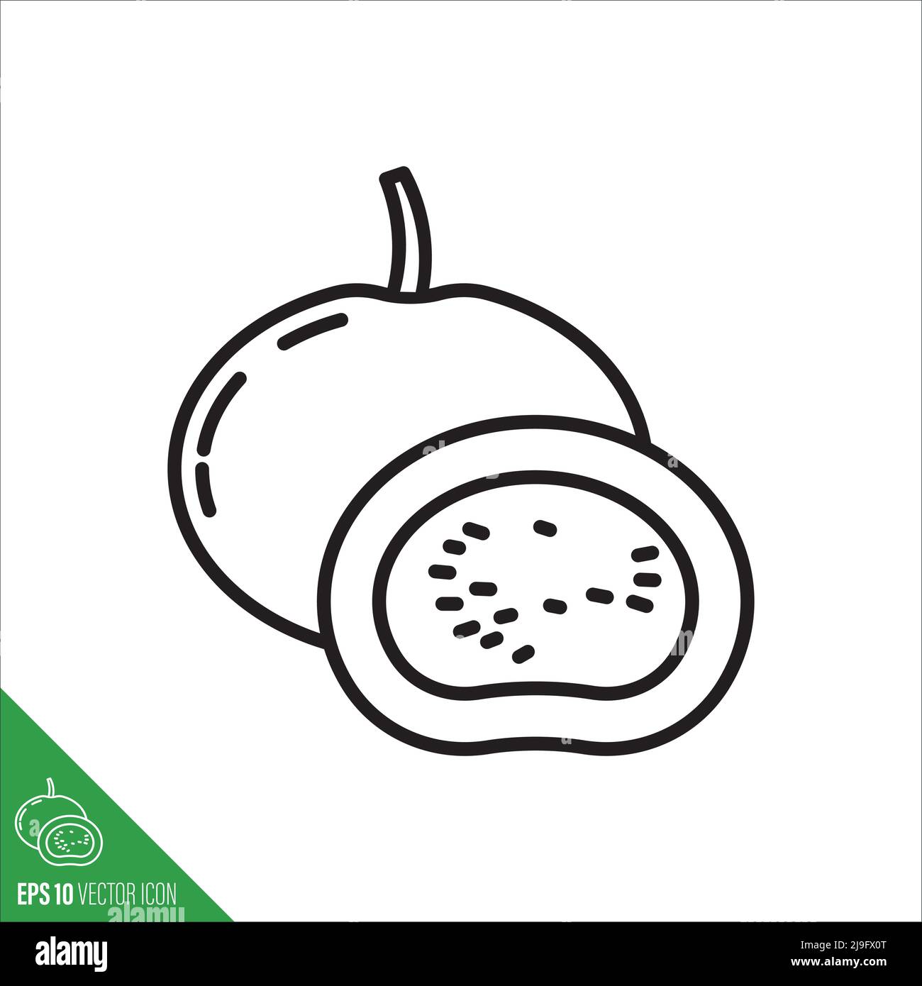 Tinda, Indian Squash or Apple Gourd vegetable icon, outline w style vector illustration Stock Vector