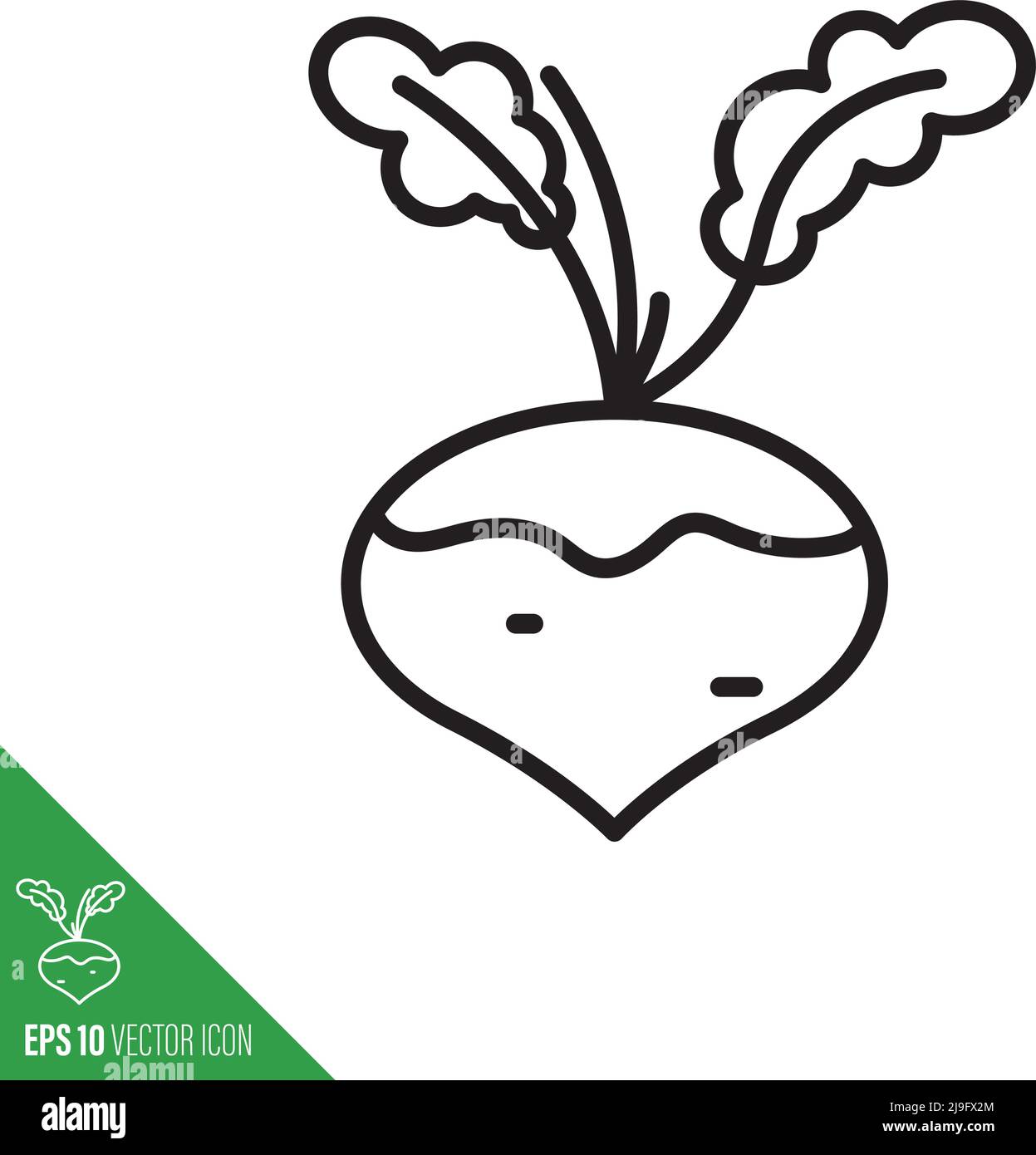 Turnip root vegetable with leaves icon, outline style vector illustration Stock Vector