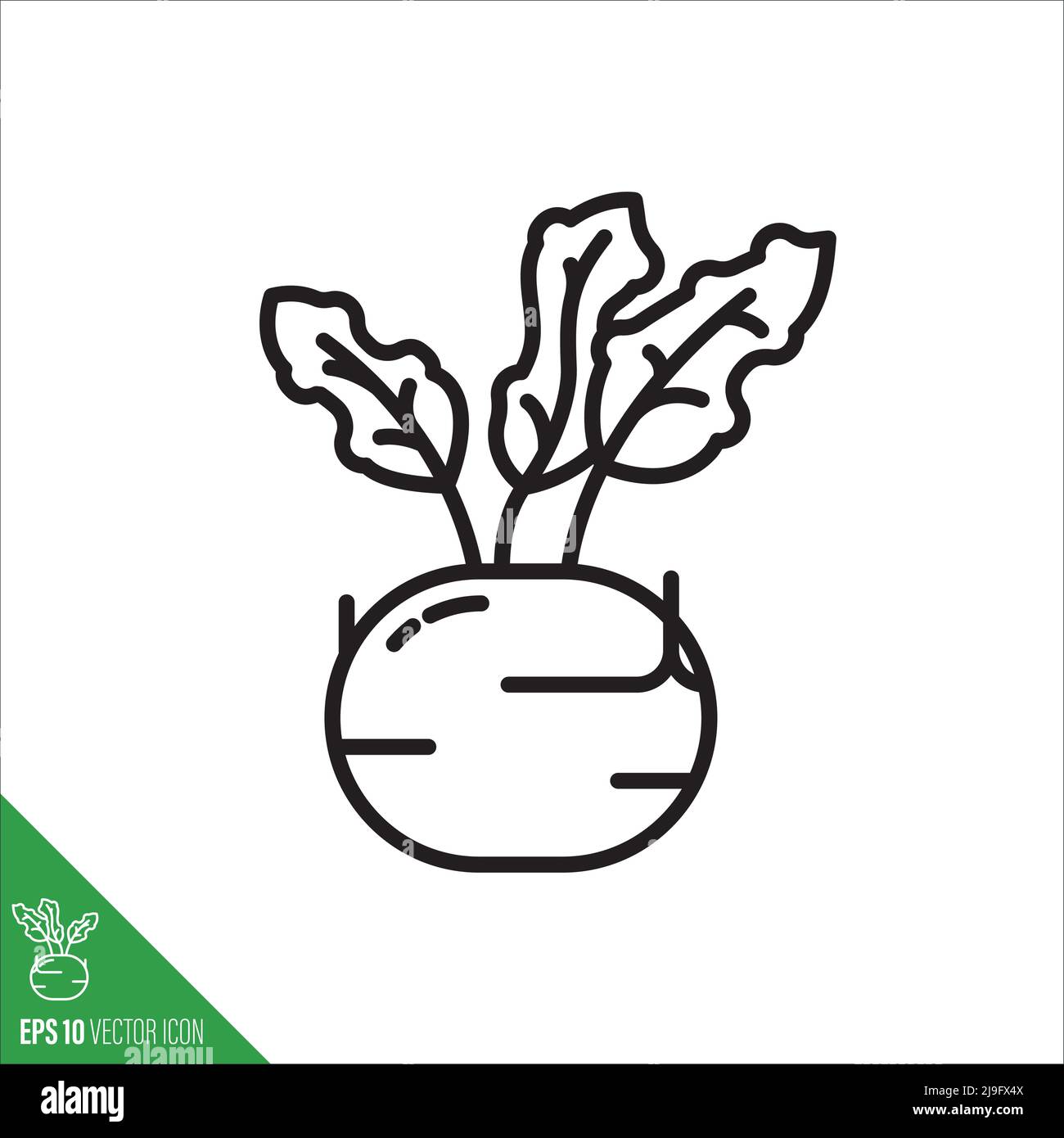 Kohlrabi or German Turnip vegetable icon, outlinestyle vector illustration Stock Vector