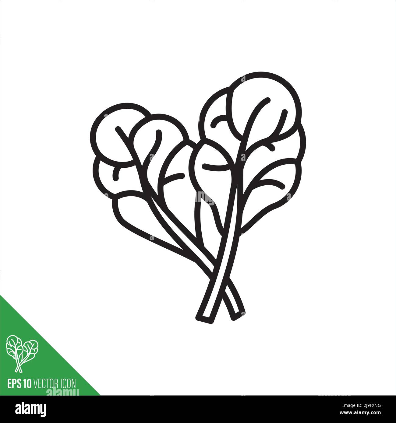 Chard leaves vegetable icon, outlinestyle vector illustration Stock Vector