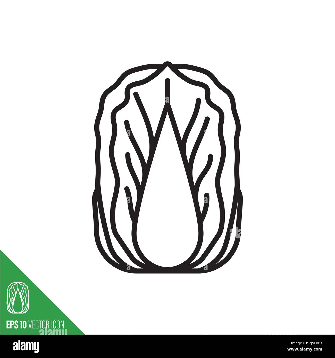 Chinese or Napa Cabbage vegetable icon, outline style vector illustration Stock Vector