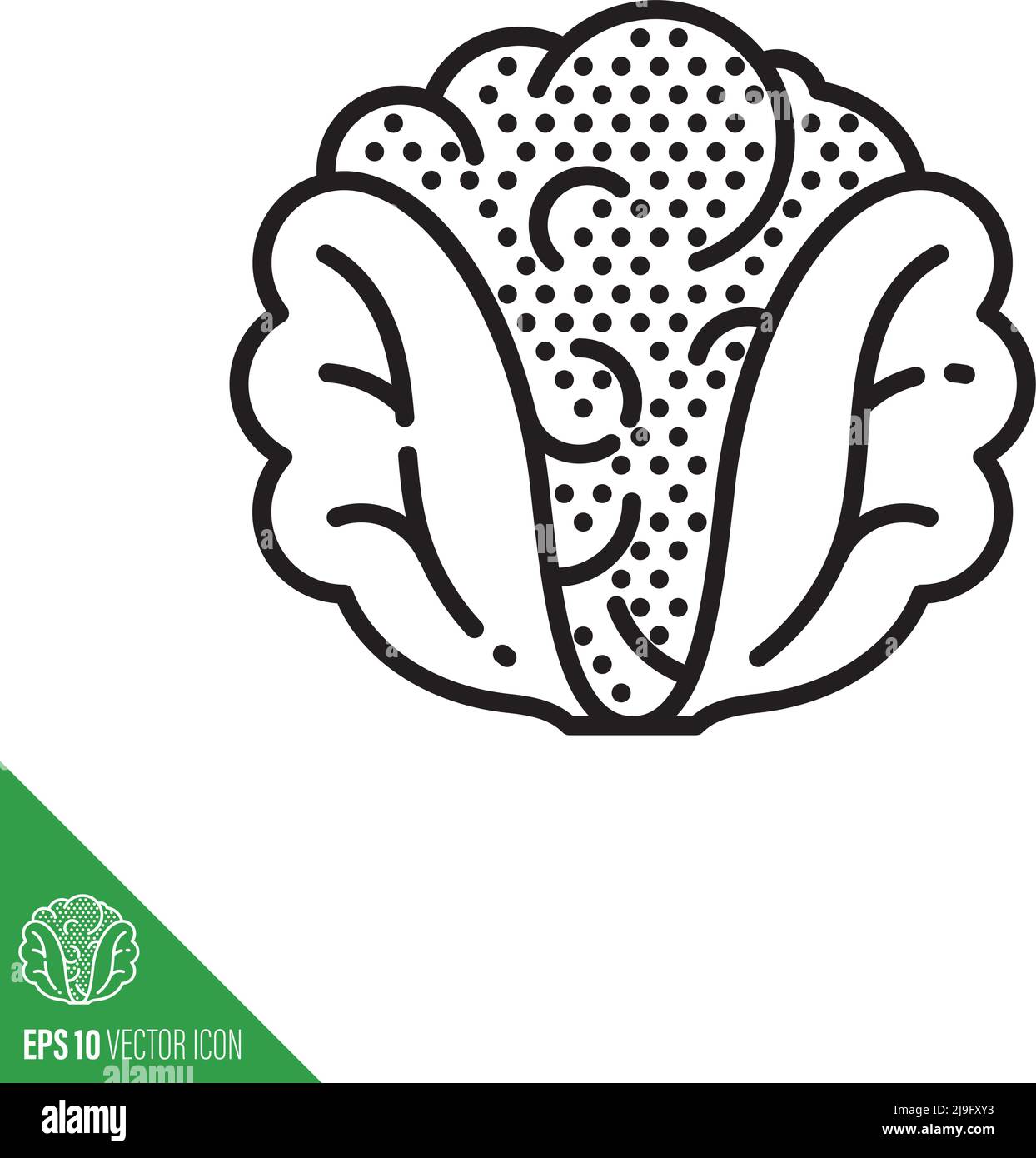 Cauliflower cabbage vegetable icon, outline tyle vector illustration Stock Vector