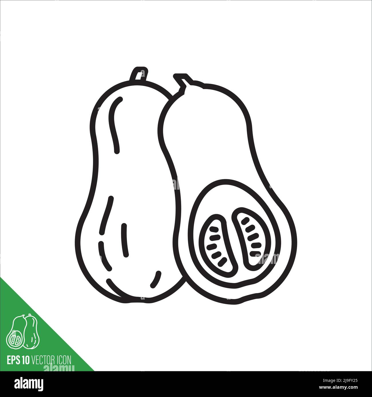 Butternut squash or pumpkin vegetable icon, outline style vector illustration Stock Vector