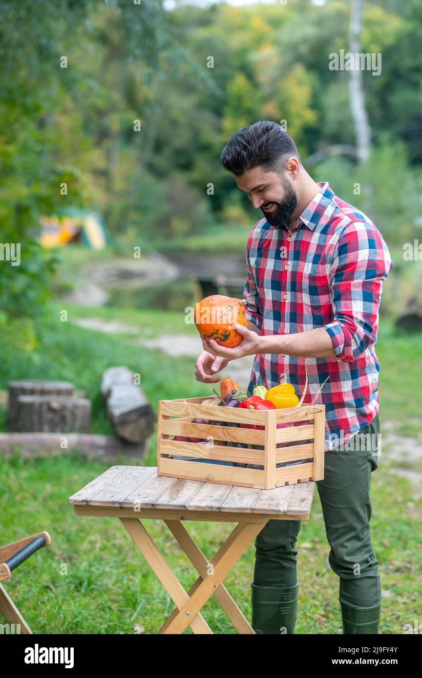 Farmer in plaid shirt sorting vegetables and looking positive Stock Photo