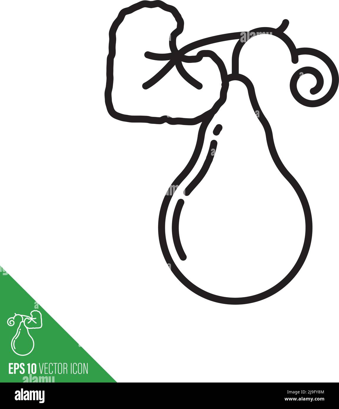 Update 78+ sketch of bottle gourd latest seven.edu.vn