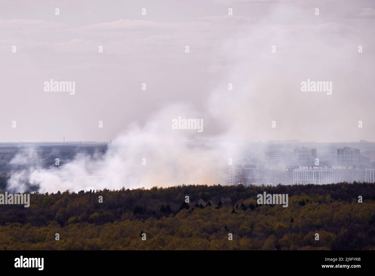 Smoke from the fire rises behind trees in the forest near city ...