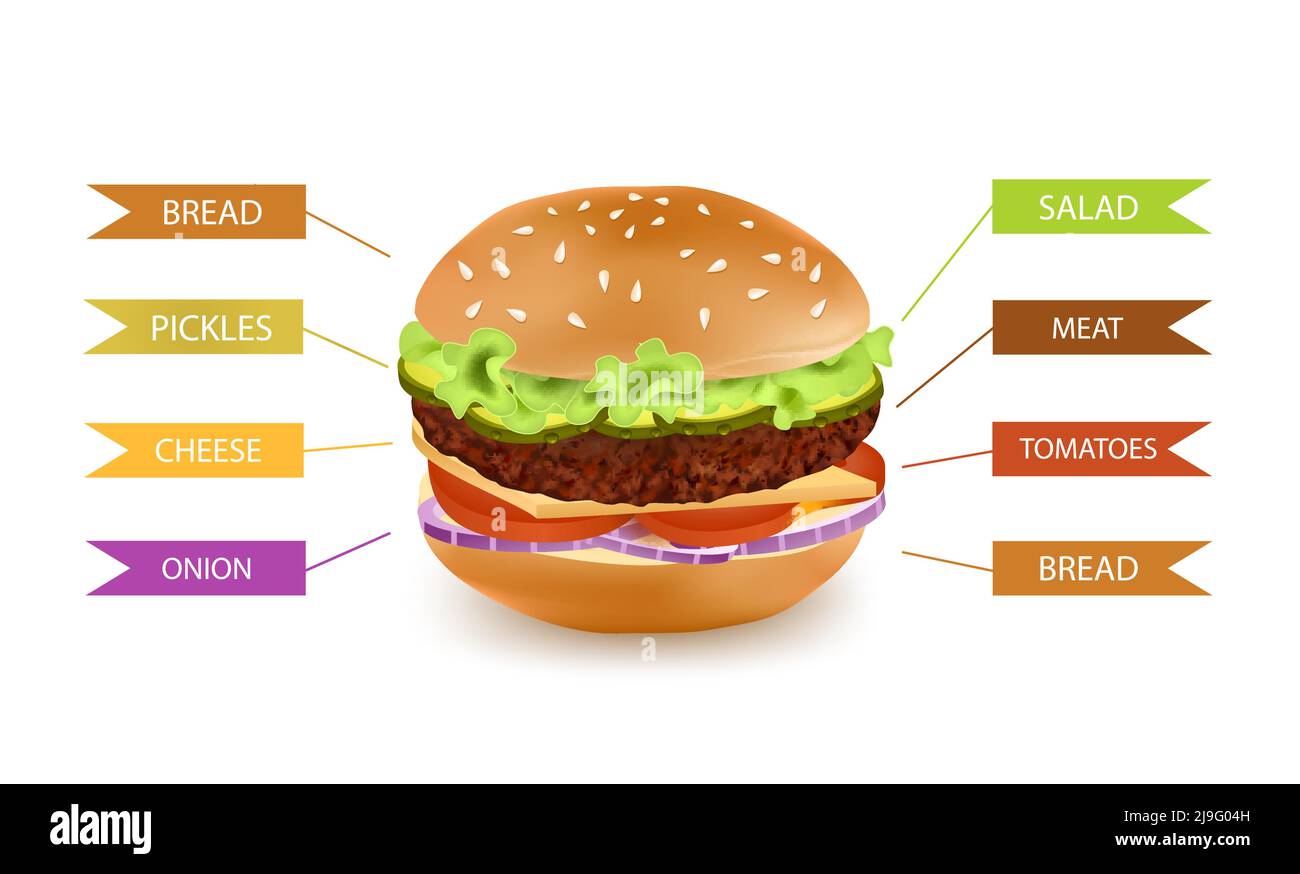 Image of hamburger with editable captions describing burger ingredients with shadow on blank background vector illustration Stock Vector