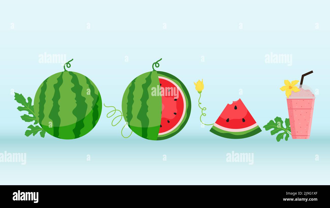 Watermelon and juicy slices vector set, flat design of green leaves and ...
