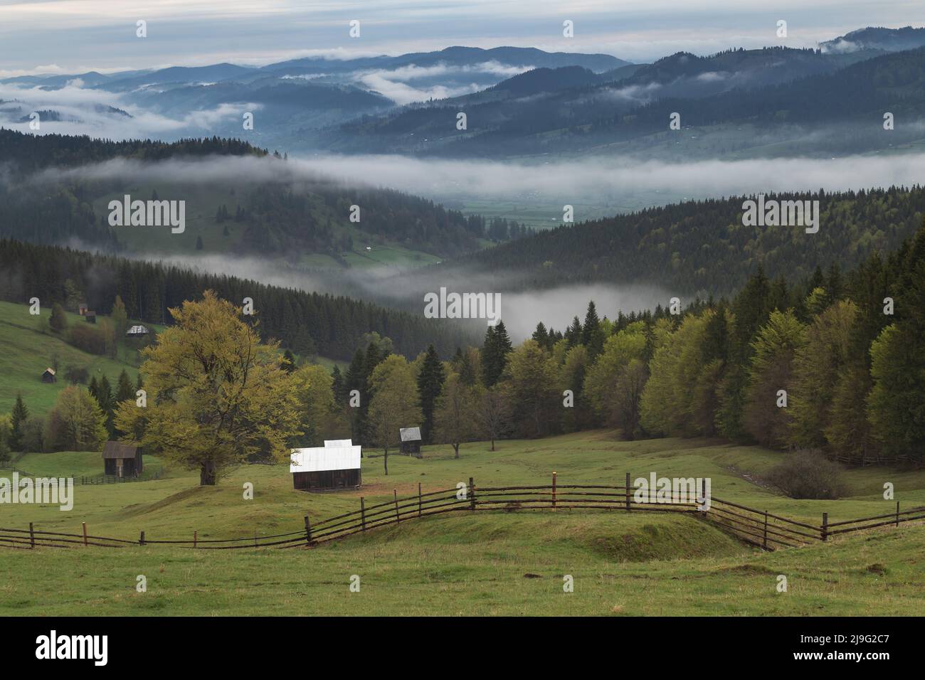 Spring mountain view of the foggy forest, in Bucovina Stock Photo