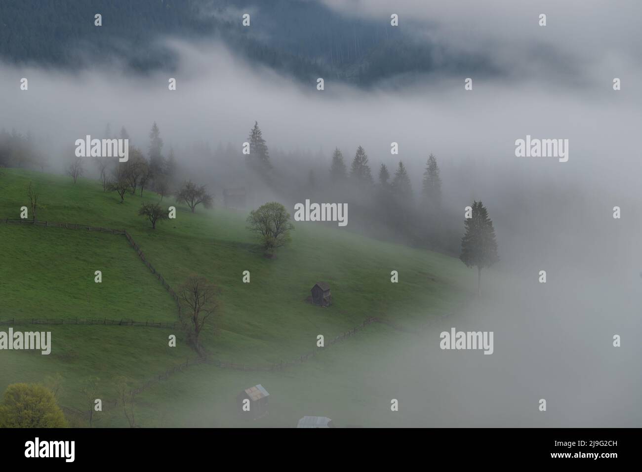 Spring mountain view of the foggy forest, in Bucovina Stock Photo